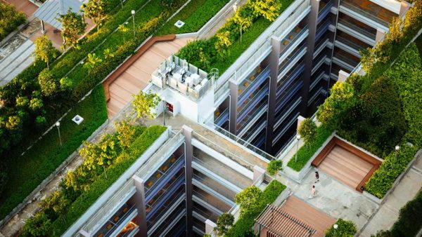 Green roofs are an example of green stormwater infrastructure.