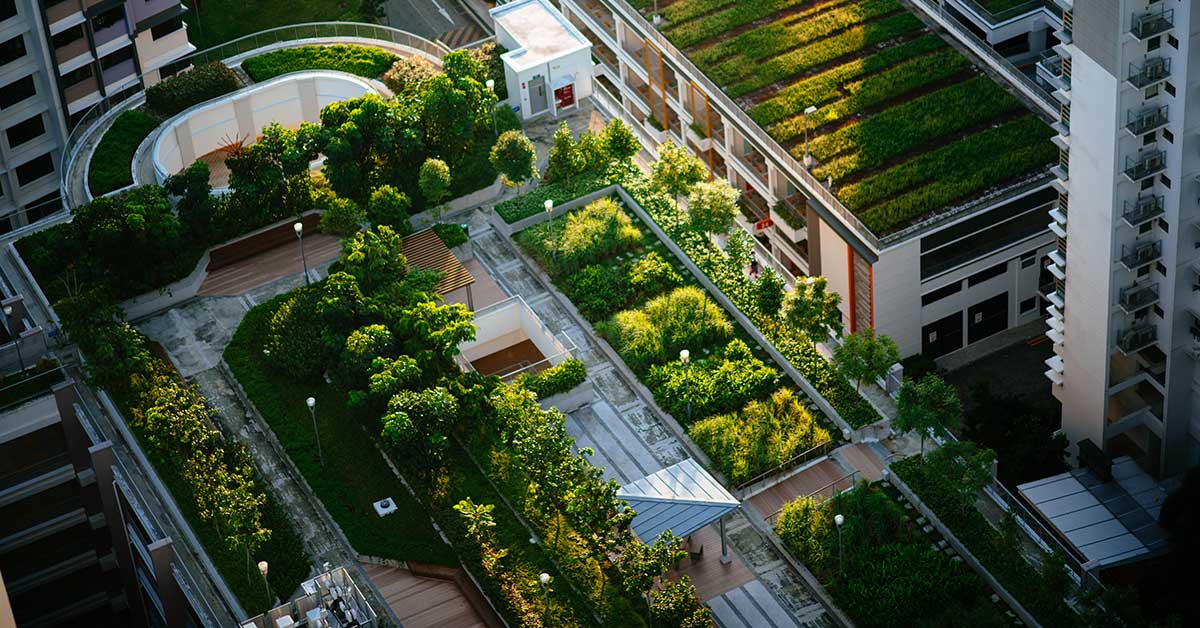 Green roofs consist of a waterproofing system and a layer of vegetation.