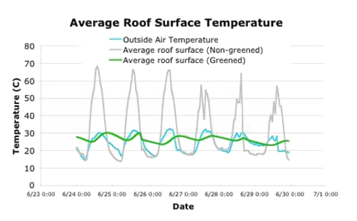 Temperatures of Green Roofs vs. Traditional Roofs